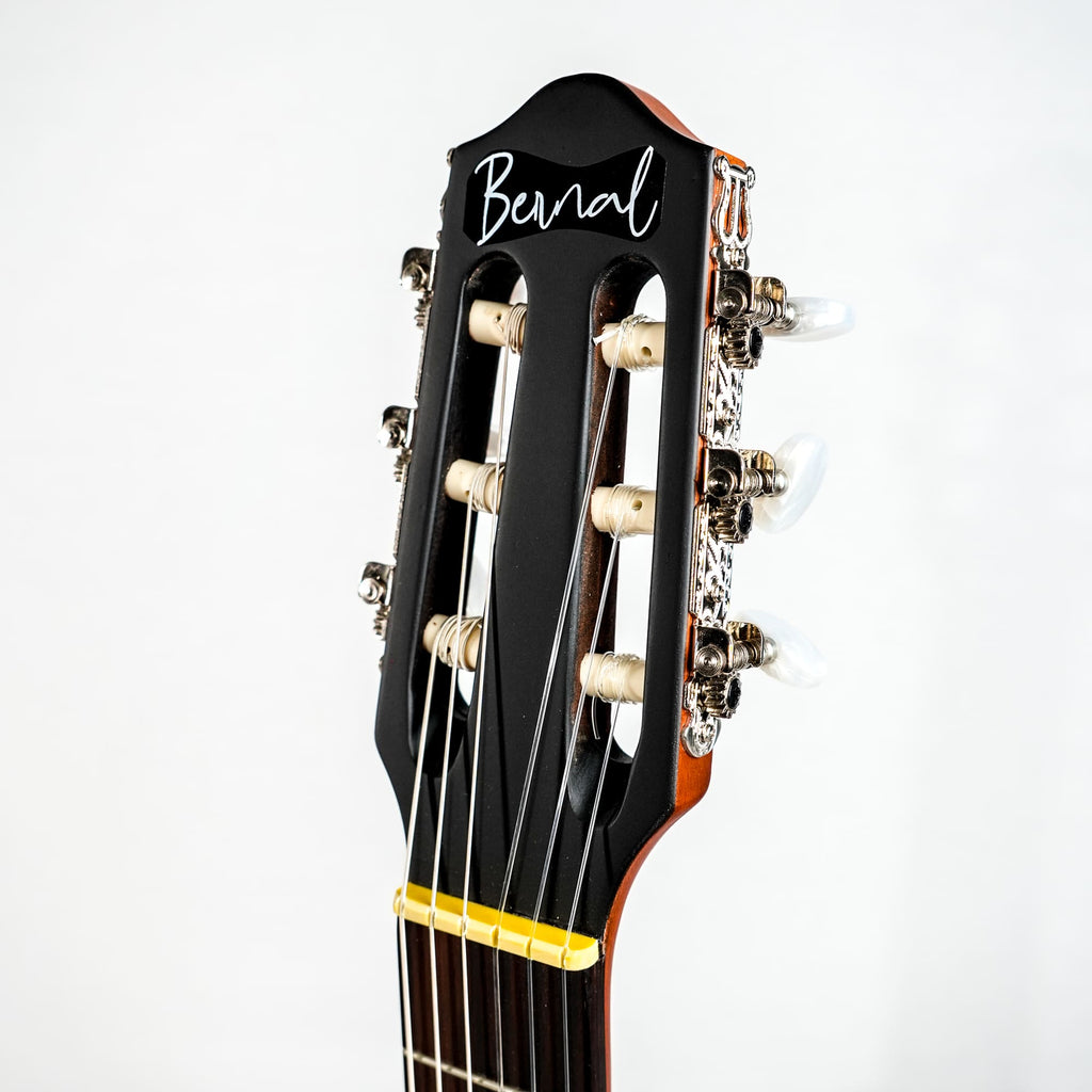 GUITARRA CUERDAS DE METAL MODELO SILENT BERNAL