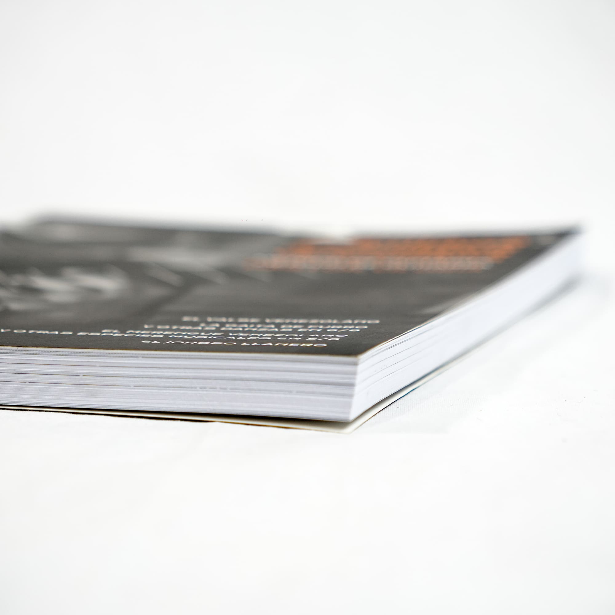 LIBRO DE GUITARRA RITMOS VENEZOLANOS NESTOR VILORIA