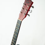 GUITARRA ELECTROACUSTICA COLOR NATURAL GSW